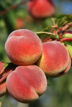 Peaches