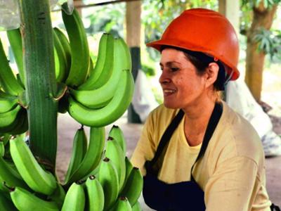 Woman grabbing a banana tree
