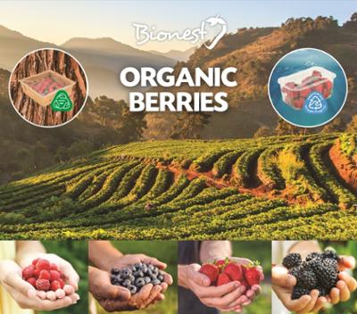 Organic berries