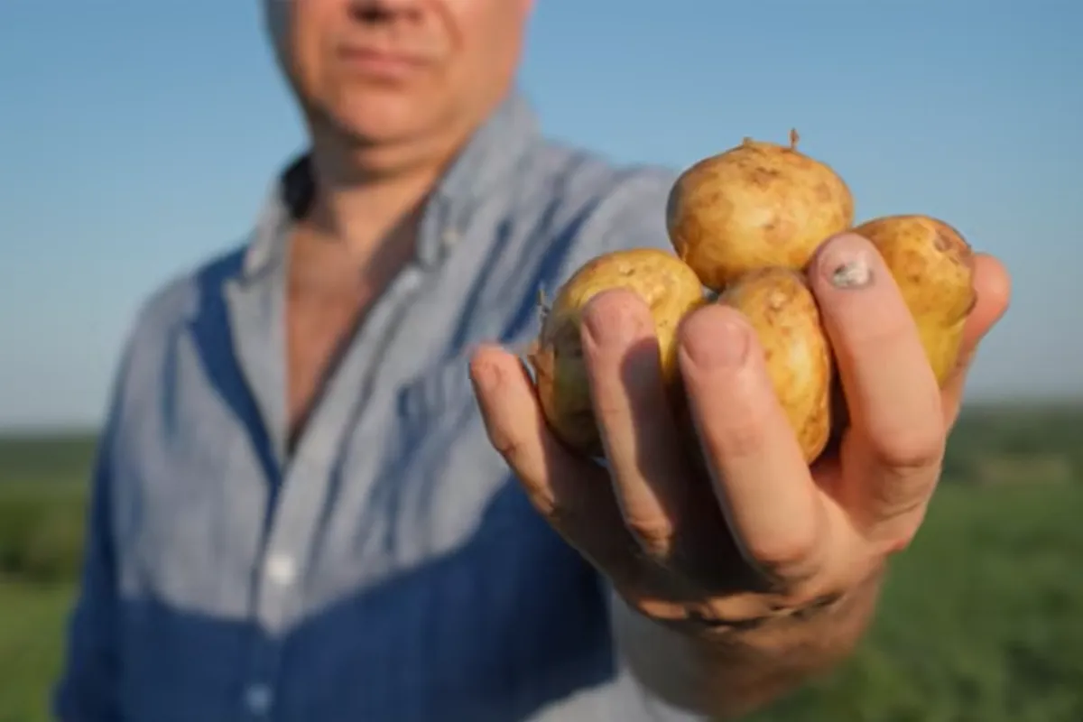 La patata, estrella de #FruitAttraction26. Desde FEPEX nos acercan a este producto clave del sector.