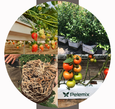 PELEMIX