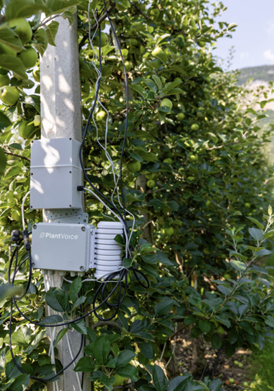 PLANTVOICE