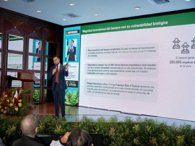 Presentacion