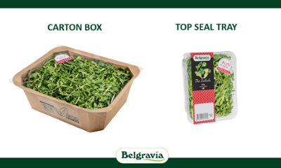 BELGRAVIA product