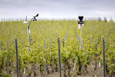 Sistema SENCROP en un campo
