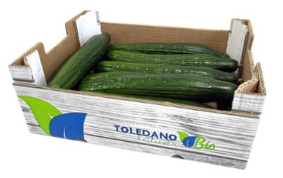 TOLEDANO AGRICOLA