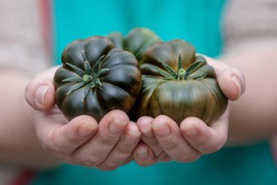 Tomatoes