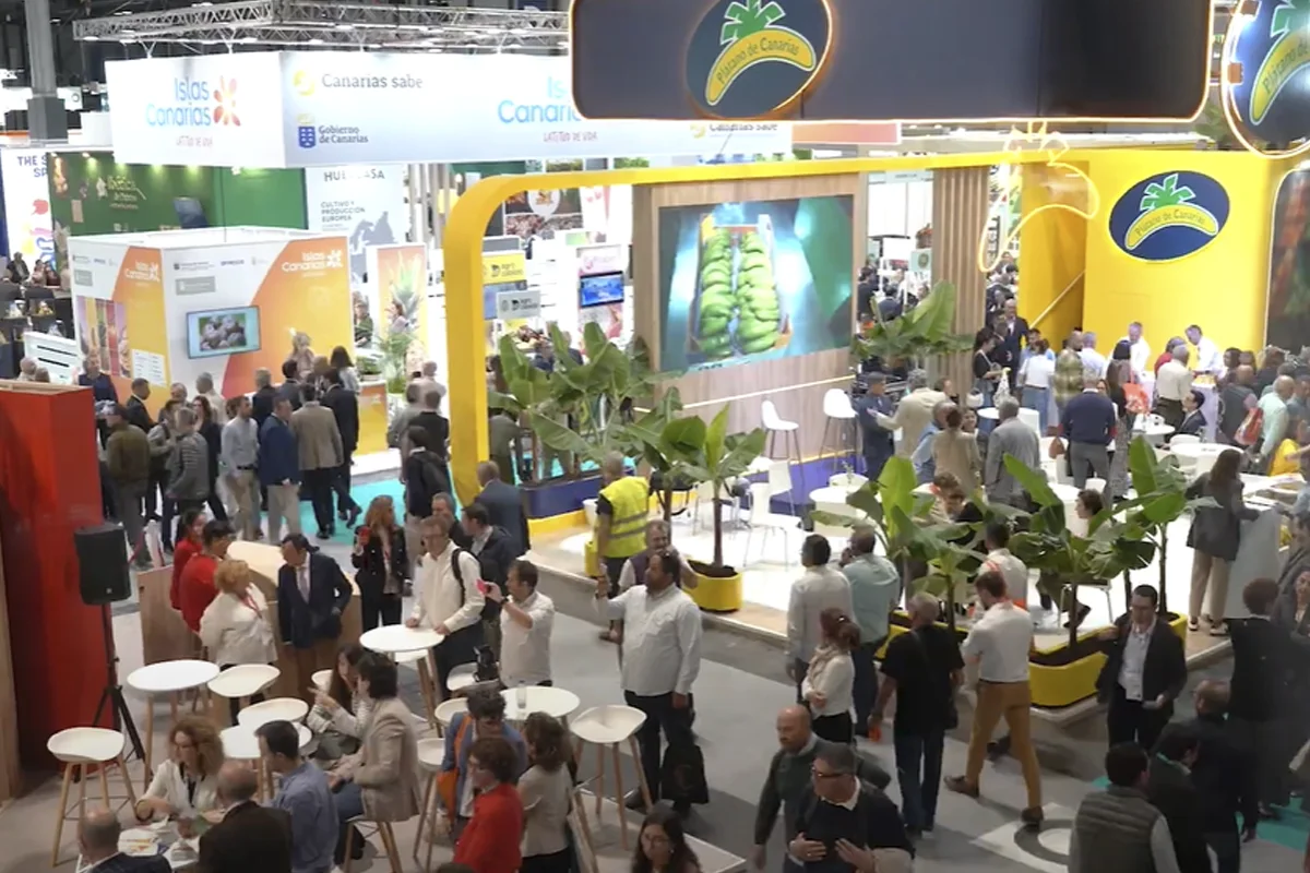 video edición anterior