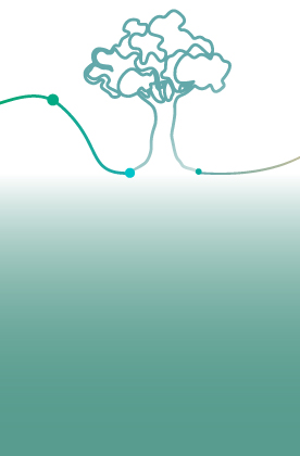 Ilustración de un árbol.