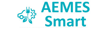 Logo AEMES
