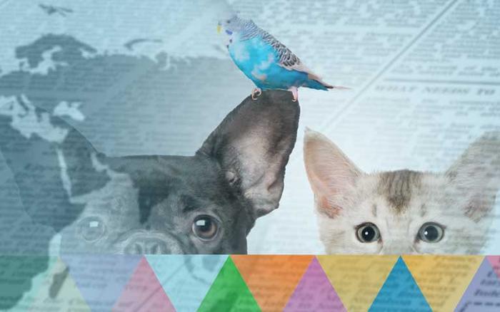 cabecera noticias móvil