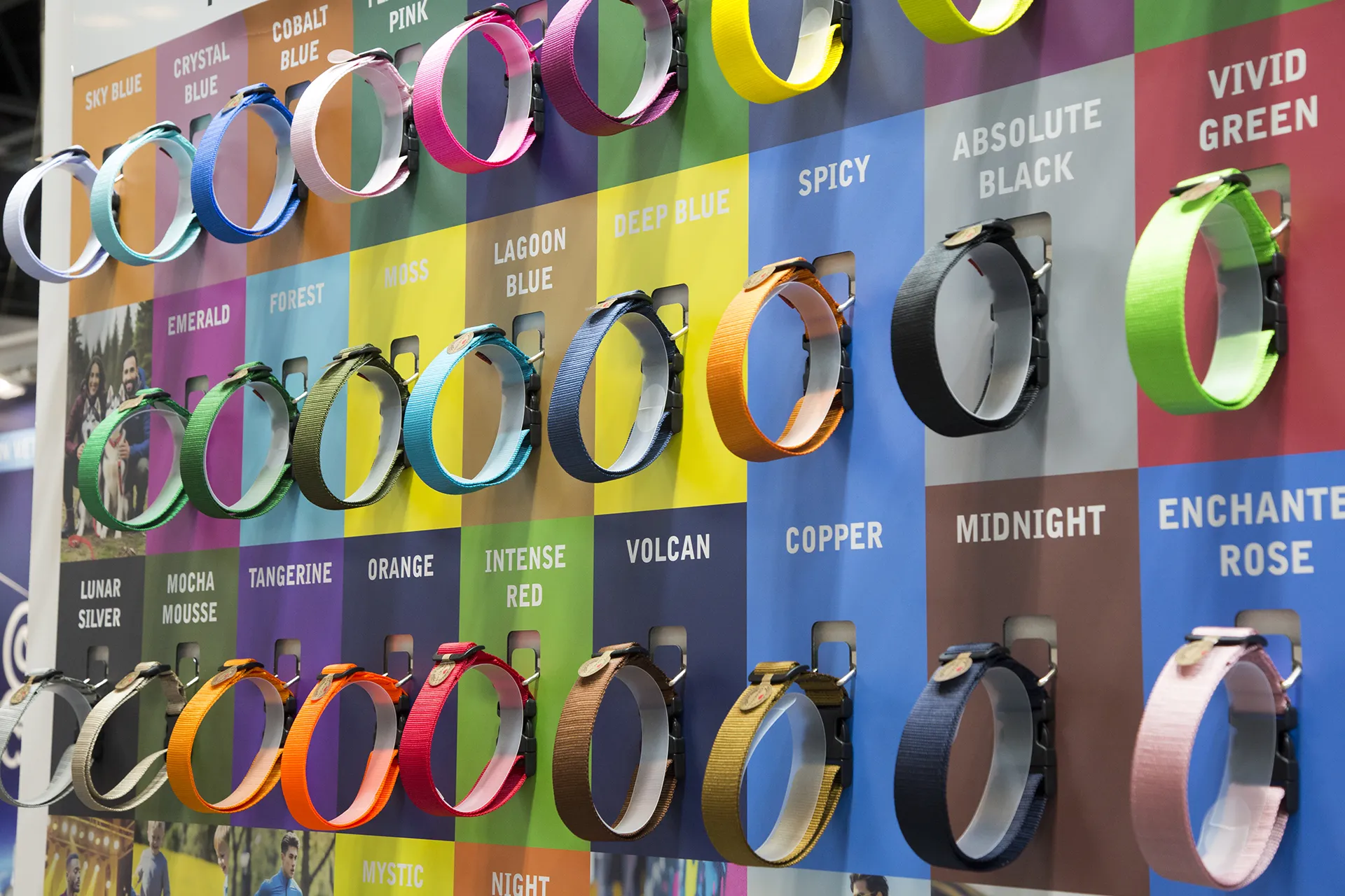Pared de stand con collares para animales de colores.