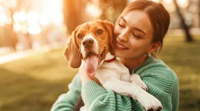 Image science and pets