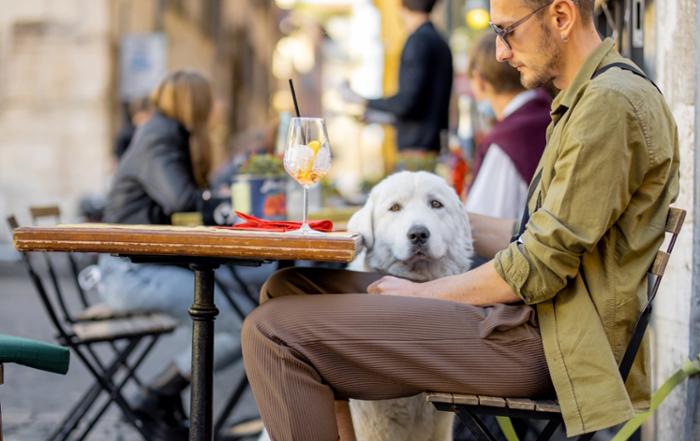 New AI and the digitization of the Pet Tech sector
