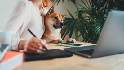 Tendencias globales en el mercado petcare: qué han estado comprando los petparents en 2025