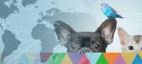 cabecera noticias