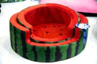 Pet bed with watermelon colours.