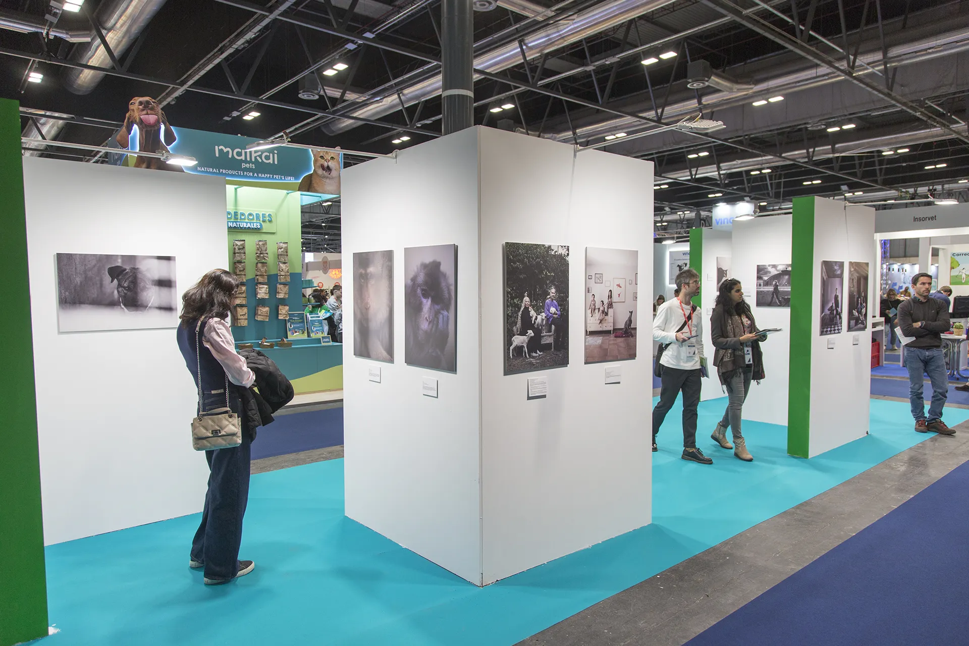 Woman looking at pictures of animals on a stand