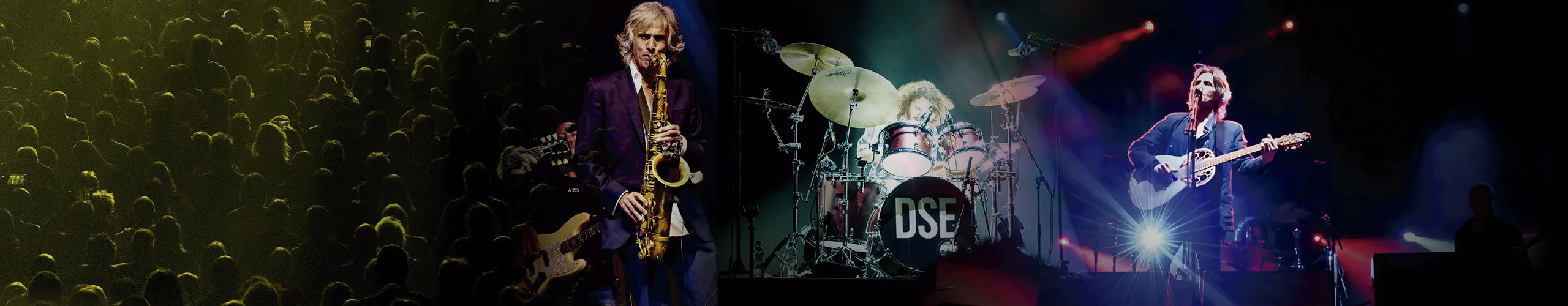 composición imagenes concierto