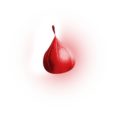 Icono 4