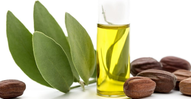 beneficios el aceite de jojoba para pelo? | IFEMA