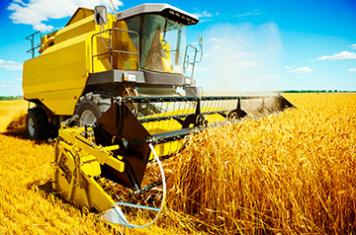Agricultura