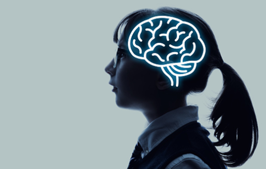 Neurociencia educativa: claves y beneficios | IFEMA