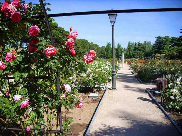 Jardín de la Rosaleda del Parque del Oeste en Madrid