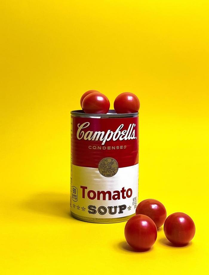 Lata Campbell's Andy Warhol
