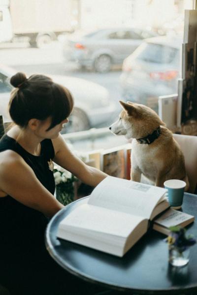 cafetería dog friendly en Madrid