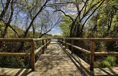 Donana parque nacional