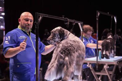 Exhibición perro en Iberzoo