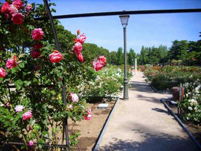 Jardín de la Rosaleda del Parque del Oeste en Madrid