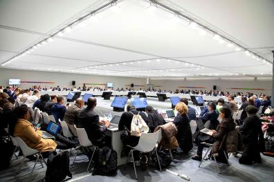 COP25 conference room