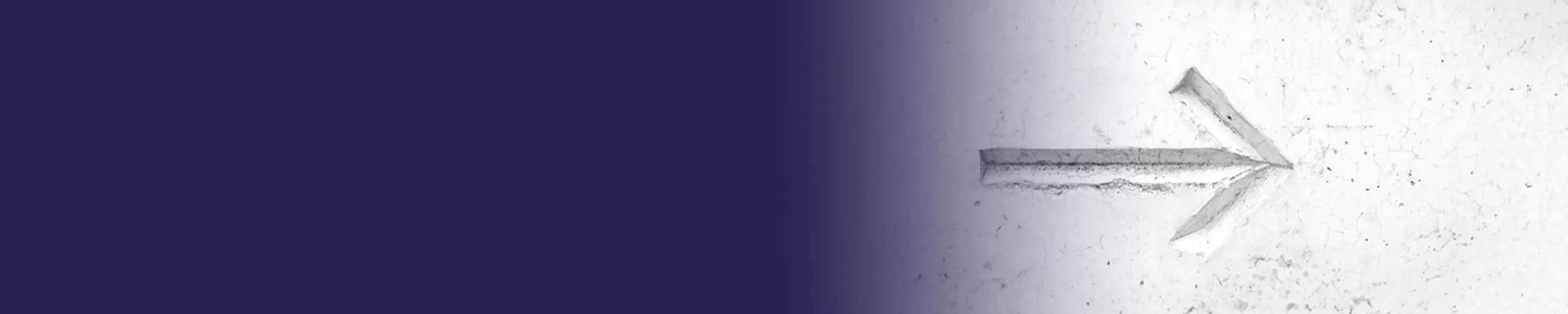 Organisers services