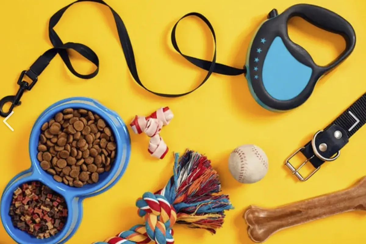 Accesorios para mascotas en Intergift