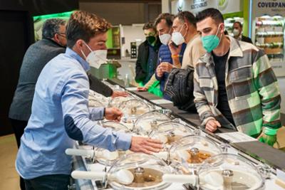 Mostrador de heladeria de la feria INTERSICOP