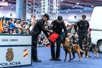 Demostración de guías caninos por la policía.
