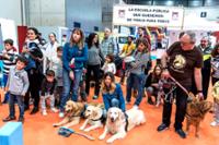 Perros rodeados de visitantes.