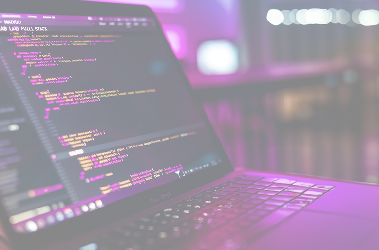 Desarrollo Web y Full Stack