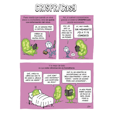 CRISPR/CAs9