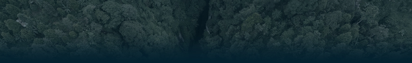 Cabecera sostenibilidad MADRING