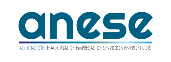 ANESE logo