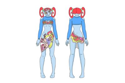 Colección Charlie Smits