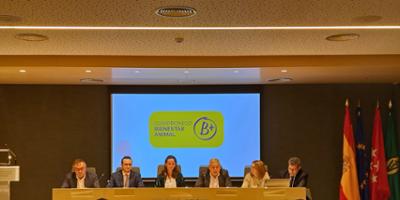 NOTICIAS DEL SECTOR