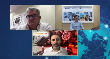 Participantes en el Webinar