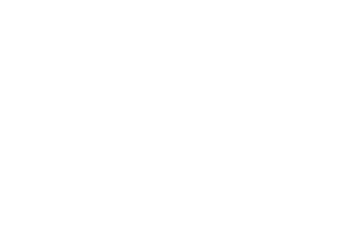 FEVER